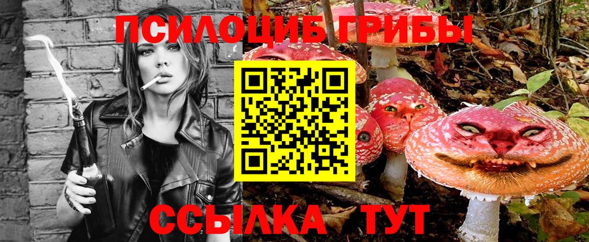 Муравленко  Галлюциногенные грибы мицелий  где можно купить наркотик  Вход с VPN 